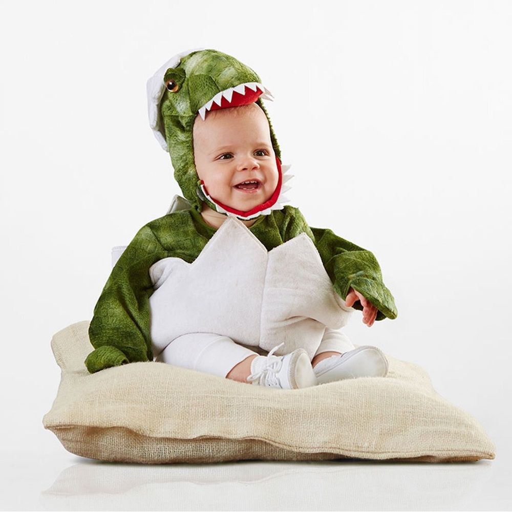 Pottery Barn dinosaur egg costume